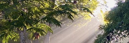 dardocordero's profile banner image