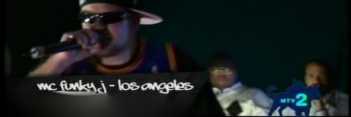Loco Gringo banner