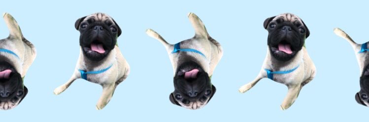 marymilcabrera's profile banner image