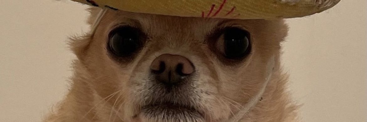 sparkynation09's profile banner image