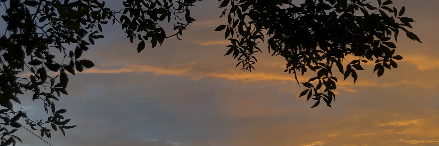 steerms's profile banner image