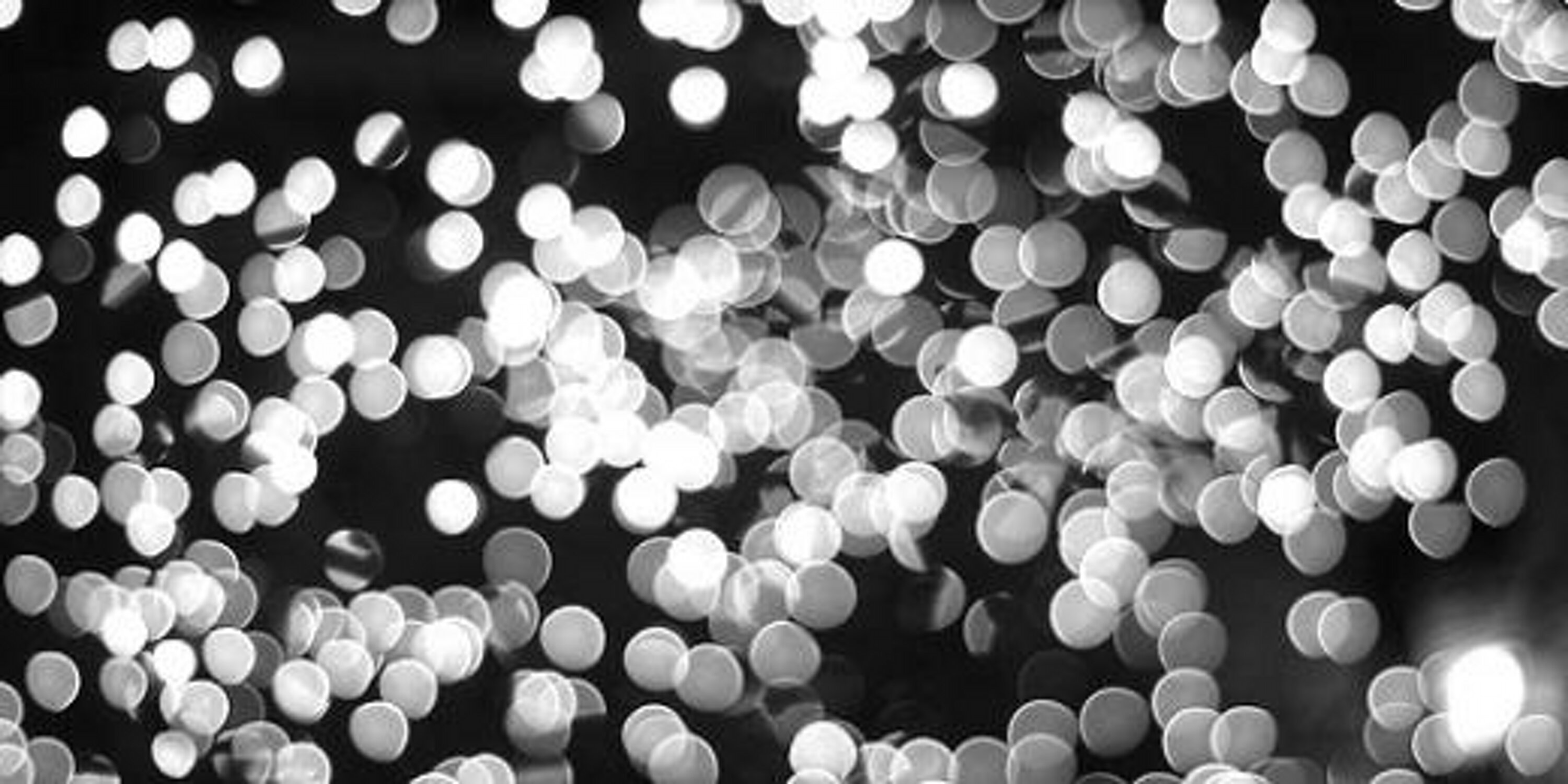 JailedFantasy_'s profile banner image