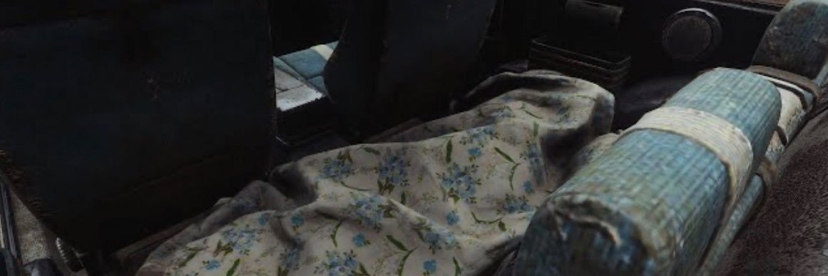 James Sunderland banner