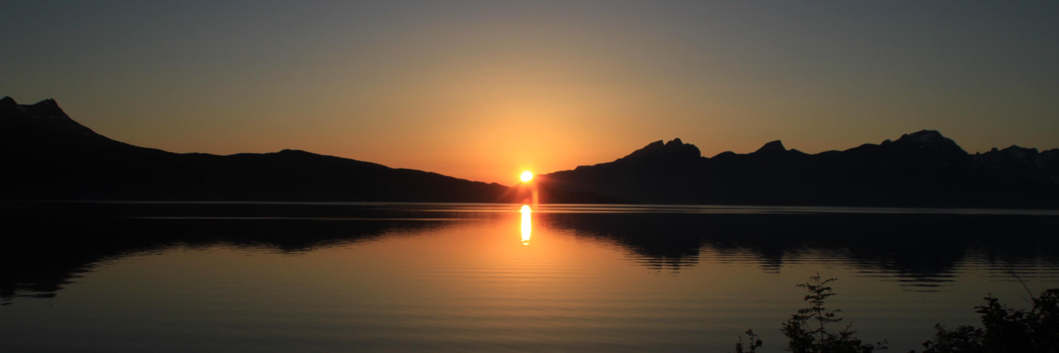 MVMA ❤💛💜 banner