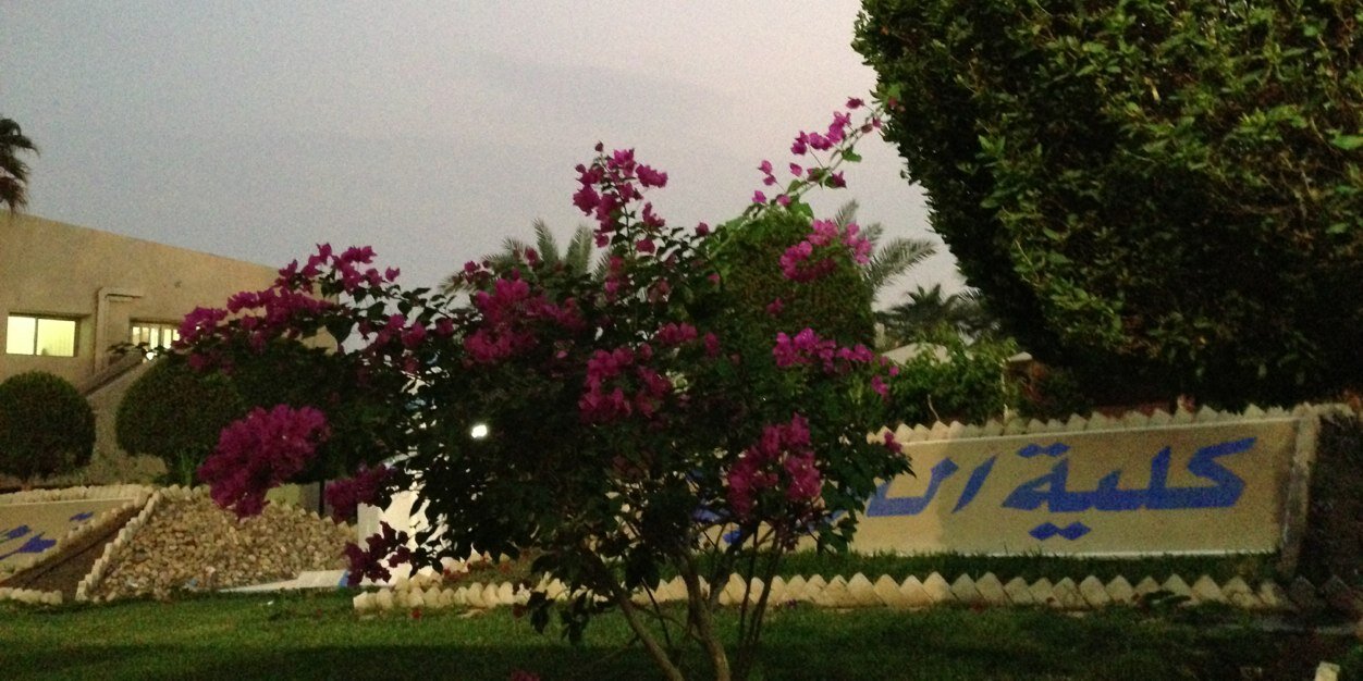 MM___91's profile banner image