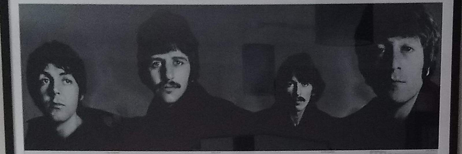 Vernon Dandy banner