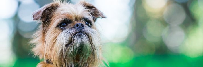 DanielleSNOUT's profile banner image