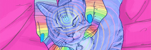 XLB666's profile banner image