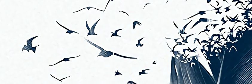 yokaidi's profile banner image
