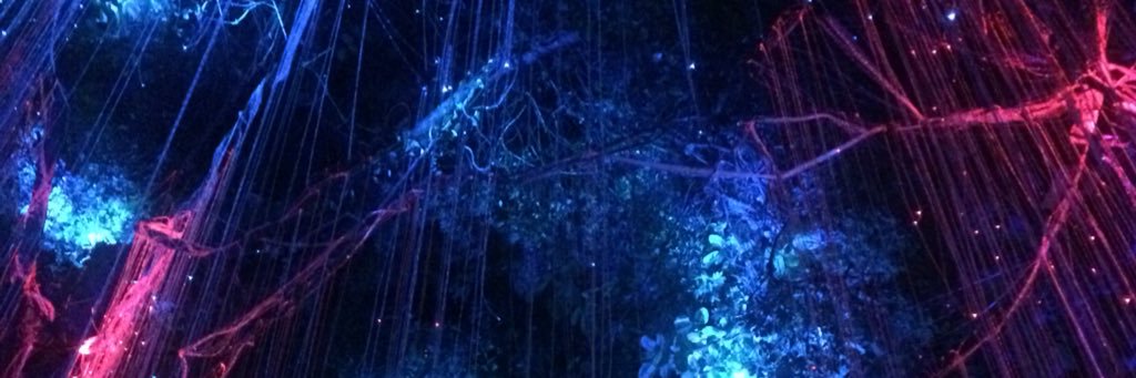 ASTlerr's profile banner image