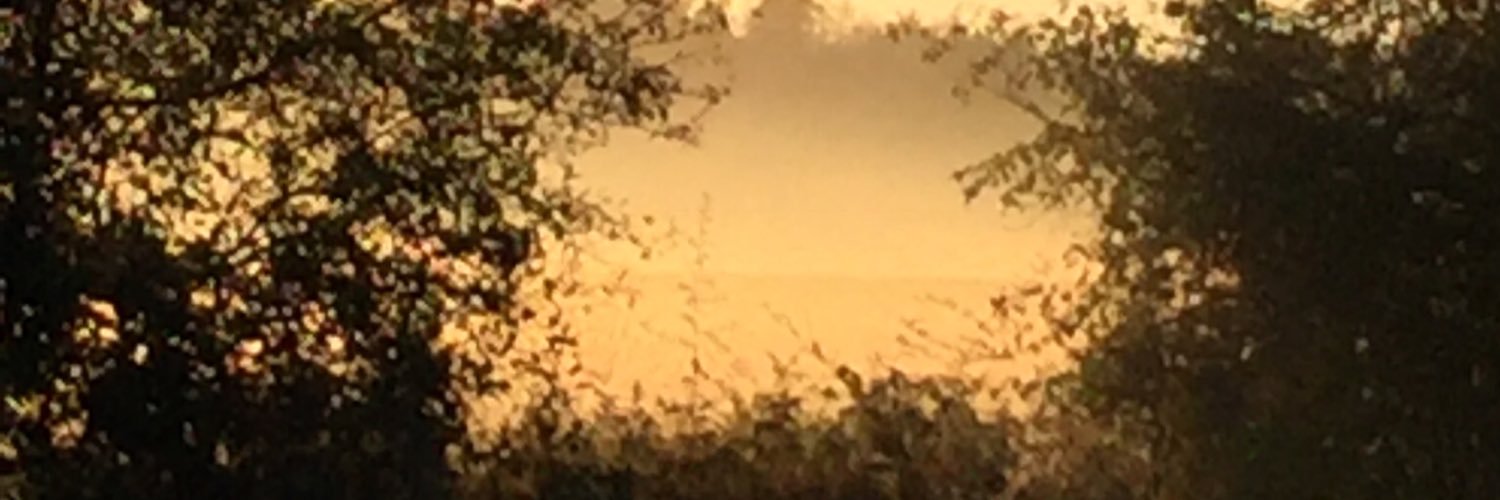 Allan Rienstra banner