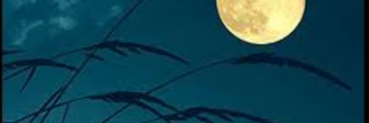 Fullyousure ☀️ banner
