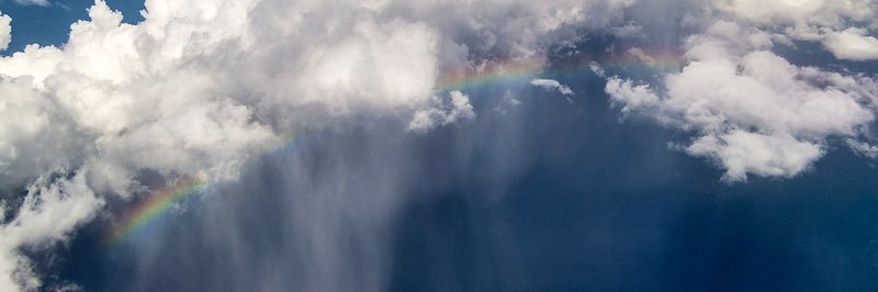 eliff_ozcan's profile banner image