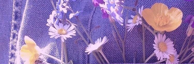 sandichimal's profile banner image