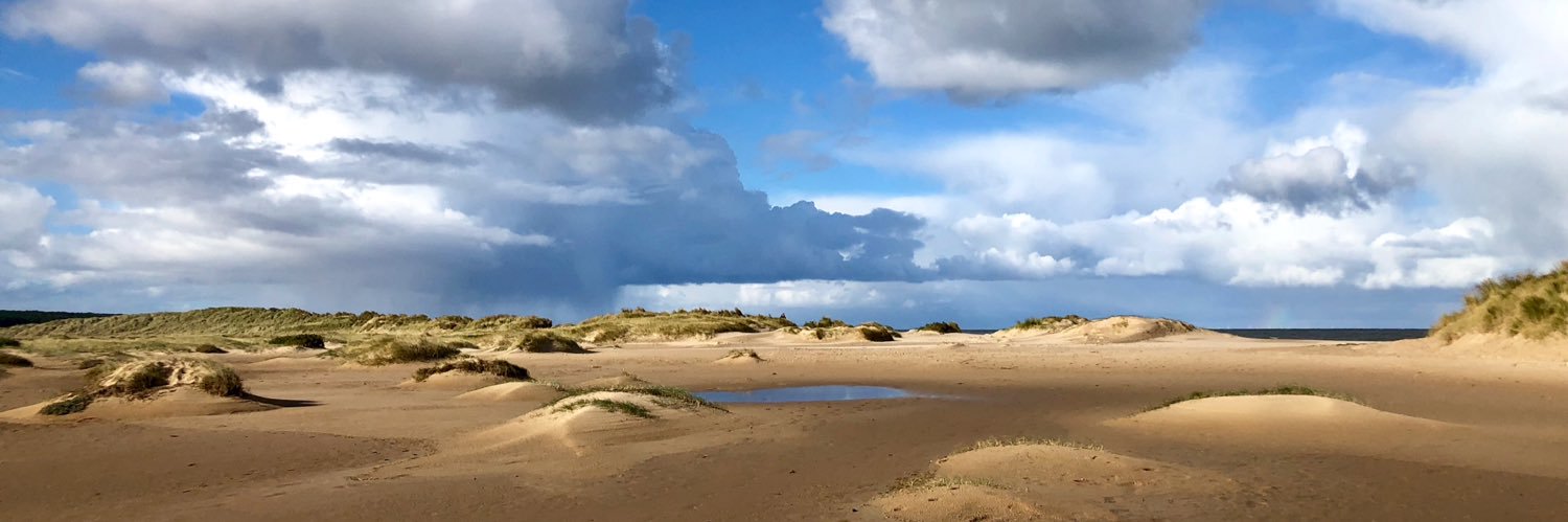 Sara Millburn banner