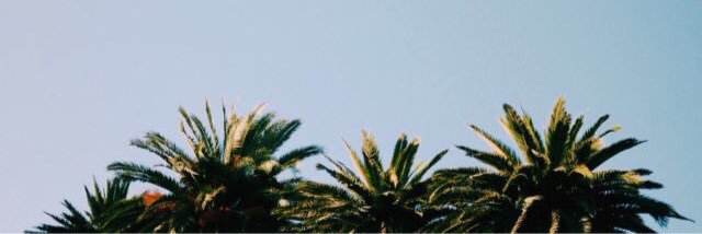 MararAlena's profile banner image