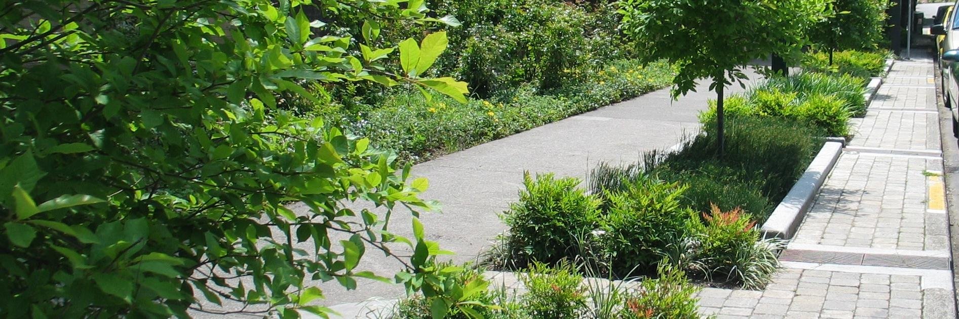 Scottish GI Forum banner