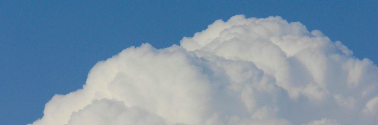 vRebenga's profile banner image