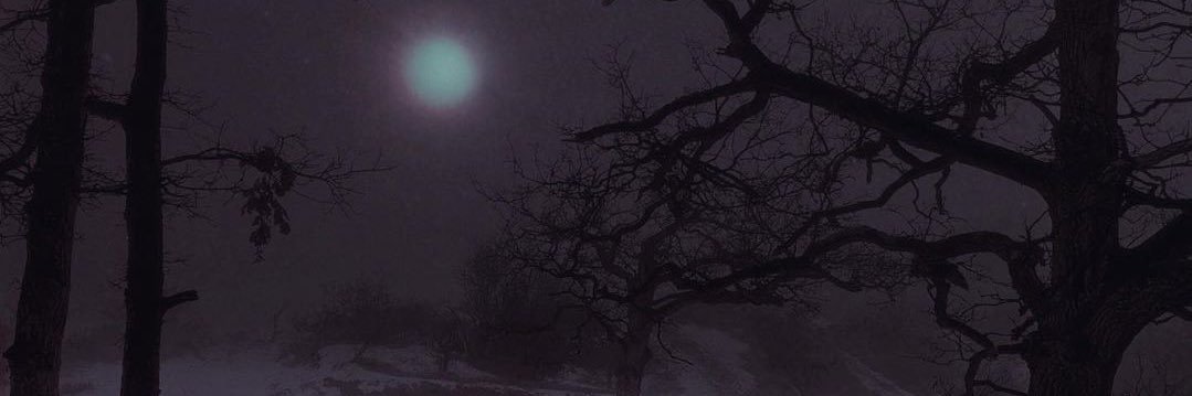fluorescntblue's profile banner image
