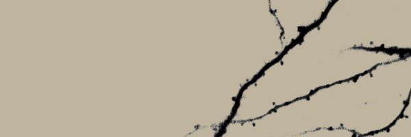 kwanalexc Profile Banner