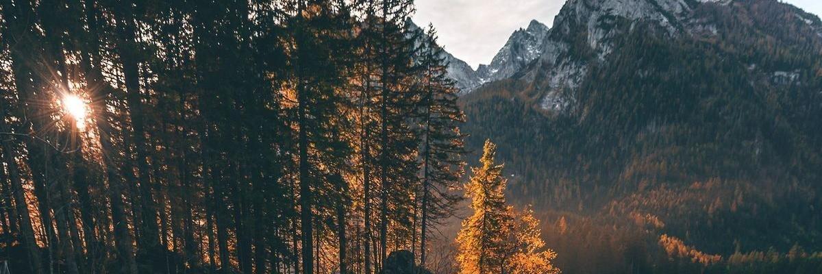 LauraGallrdo's profile banner image