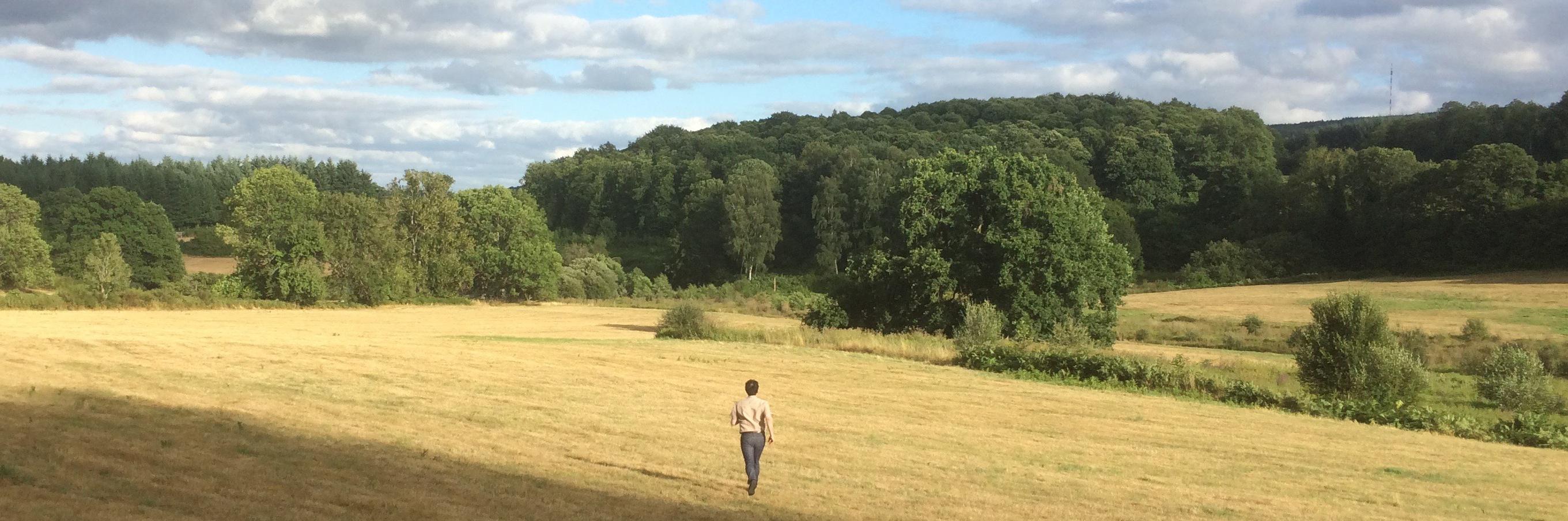 Albert de Pétigny banner