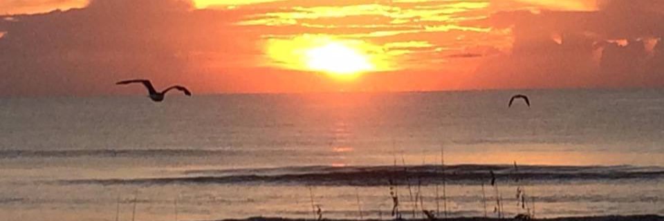 Cynthia Cheatham banner