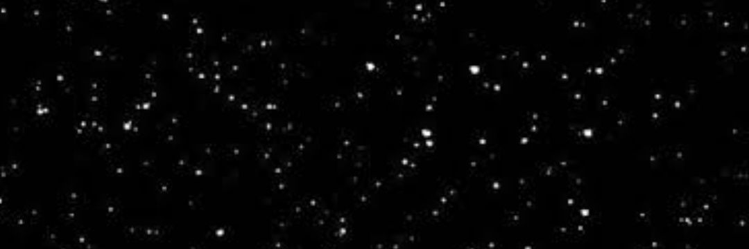 trinitybandt's profile banner image