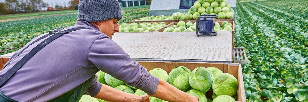 Werkgeverslijn banner