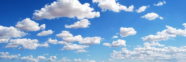 Dr. Whitney Hauser banner