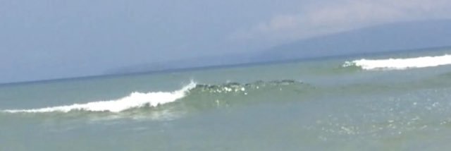 Temperamental Fulda Diva banner