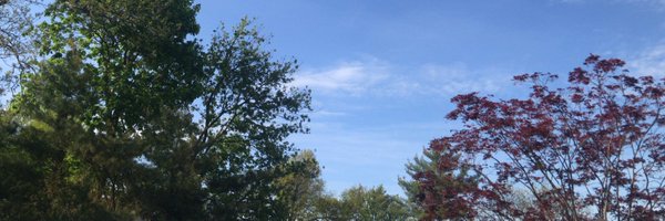 jmwass Profile Banner