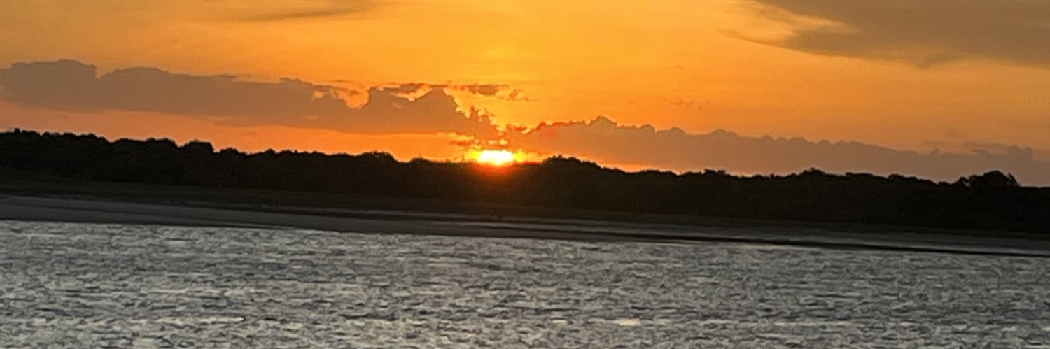 PatiBotelho's profile banner image