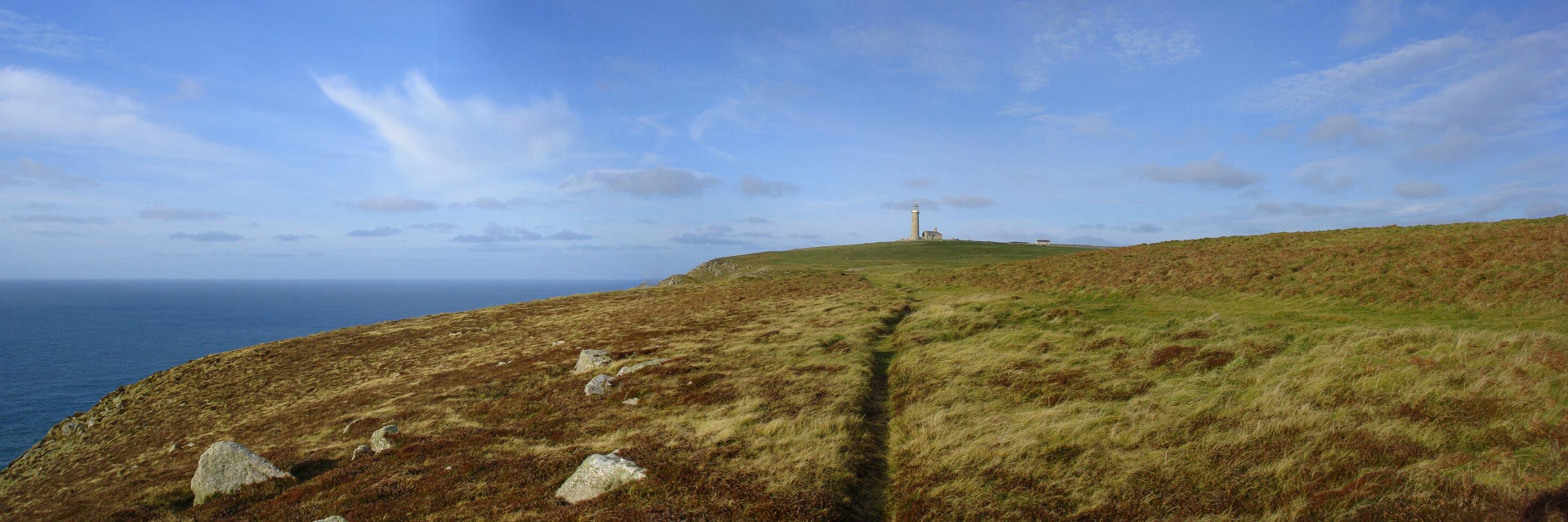 Michael Williams banner