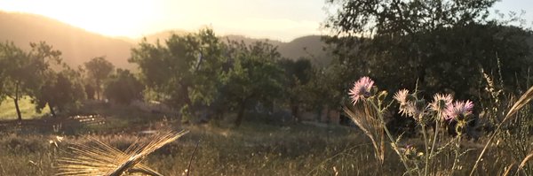 asgresle Profile Banner