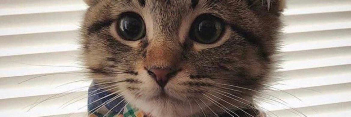 TitouLB's profile banner image