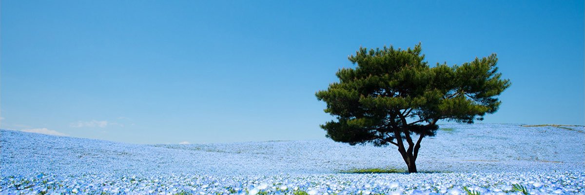 cello060125's profile banner image