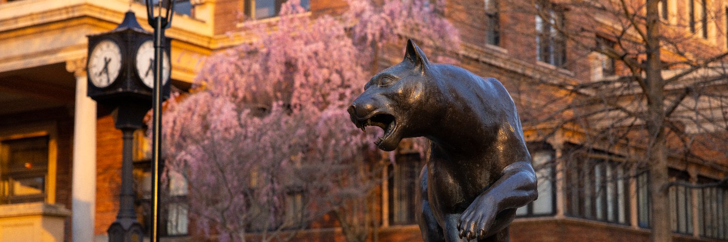 pittadmissions's profile banner image