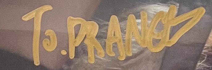 prang1306's profile banner image