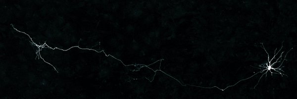 mrm_matos Profile Banner