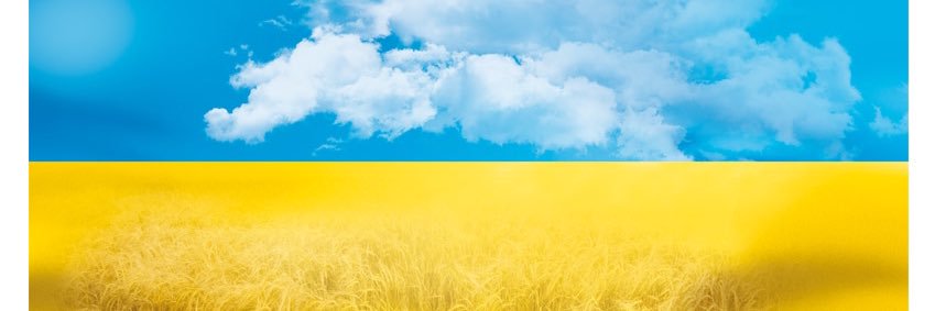 KRyasichenko's profile banner image
