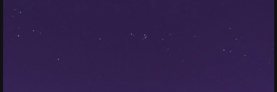 orchidfl0's profile banner image