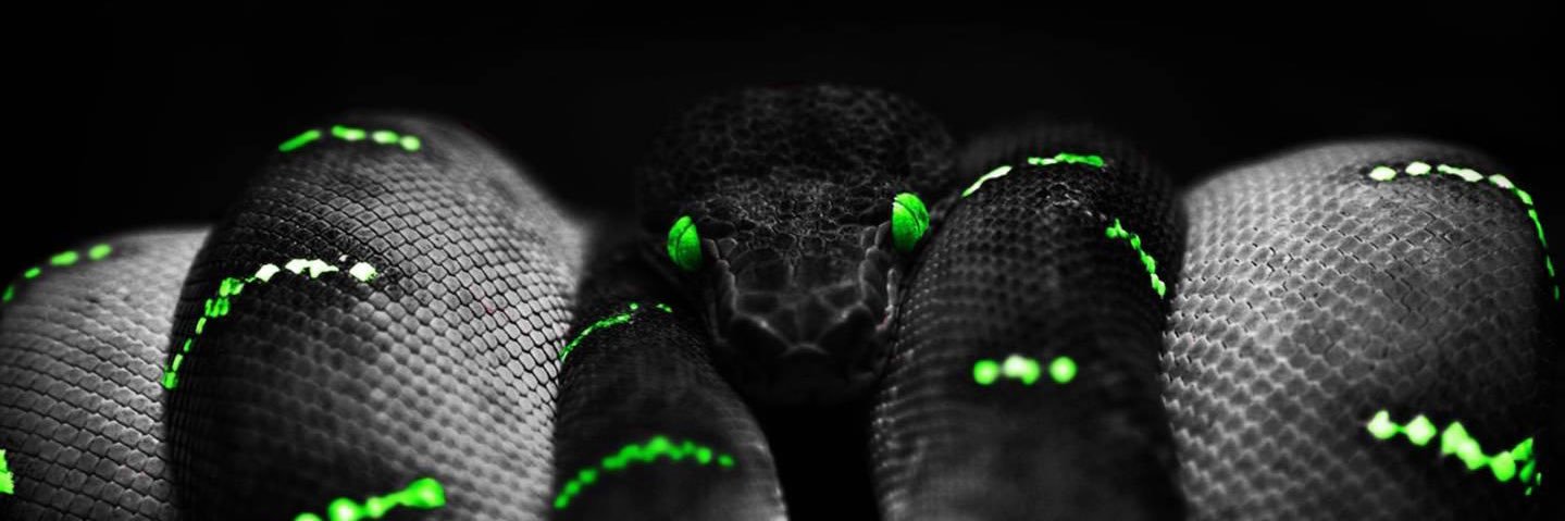 Justin Ford 🐍 banner