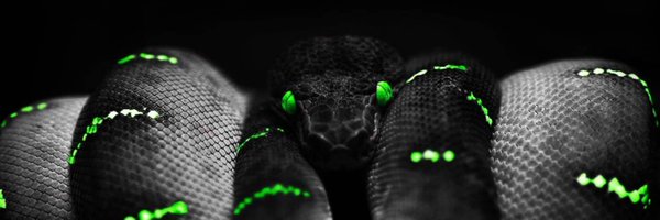 jacosse_ Profile Banner