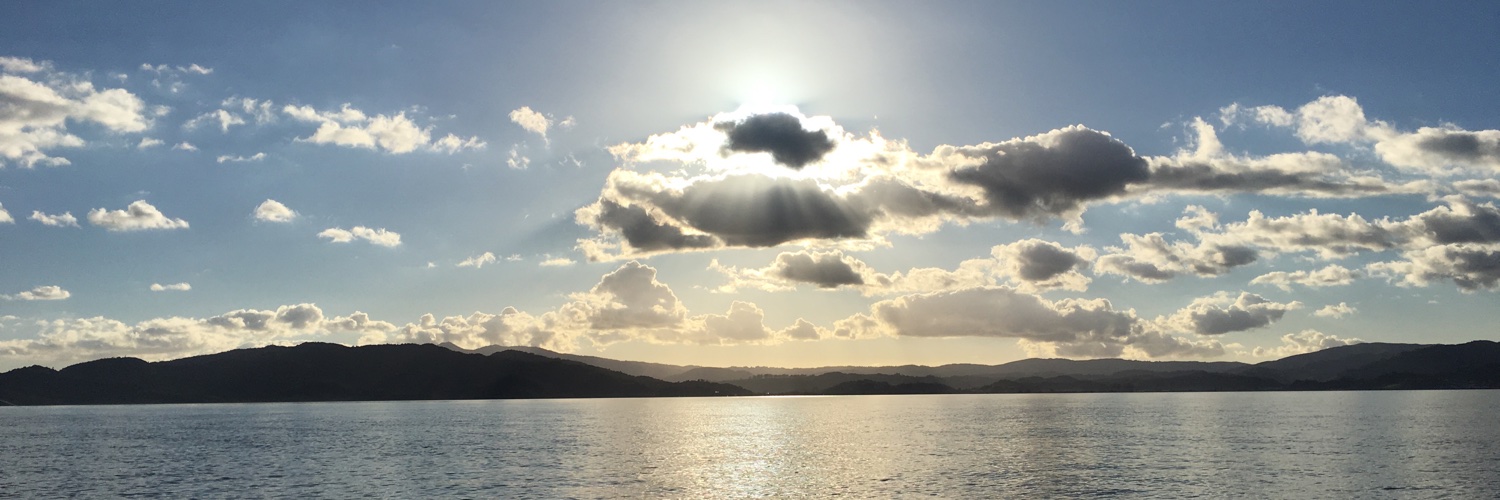 pjschardt's profile banner image