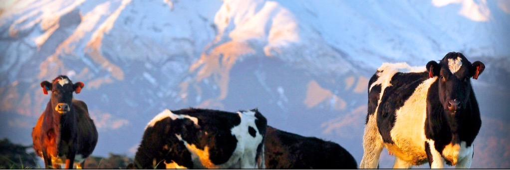 PeekMarie's profile banner image