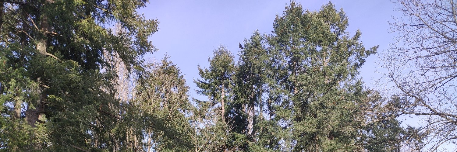 Remi_Vnt's profile banner image