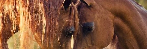 nas8584's profile banner image