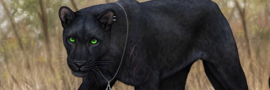 xRajani's profile banner image