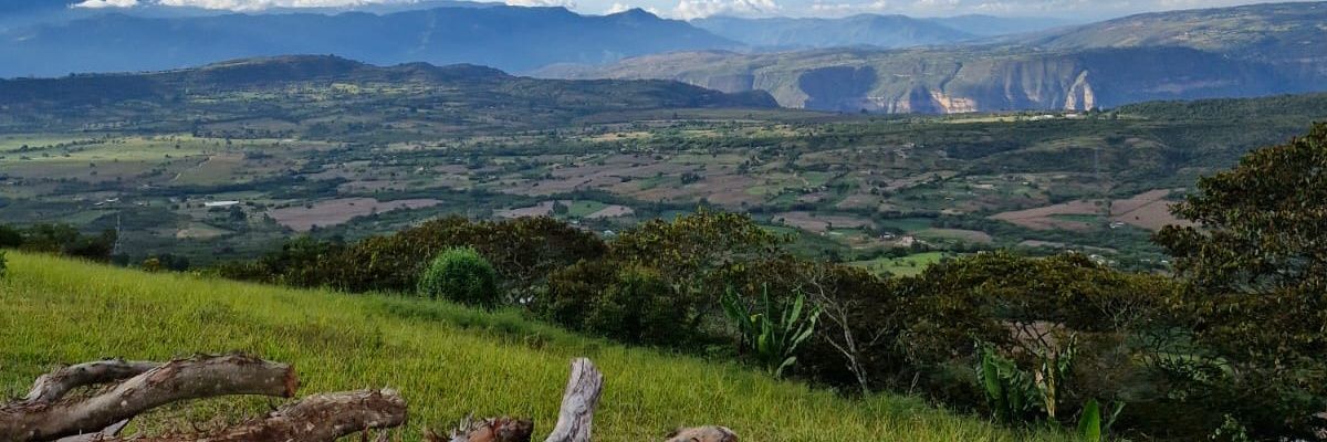 curibe95's profile banner image